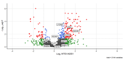 Volcano plot showing proteins identified in Demeter EVPrep-isolated EVs from wild type (WT) and Alzheimer’s Disease (AD) organoid cultures. 
