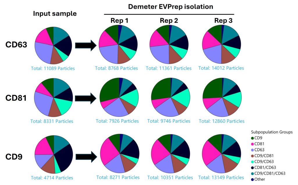 Pie charts of CD63, CD81 and CD9 tetraspanin subpopulation distributions for a vitreous humor input sample and three Demeter EVPrep isolation replicates